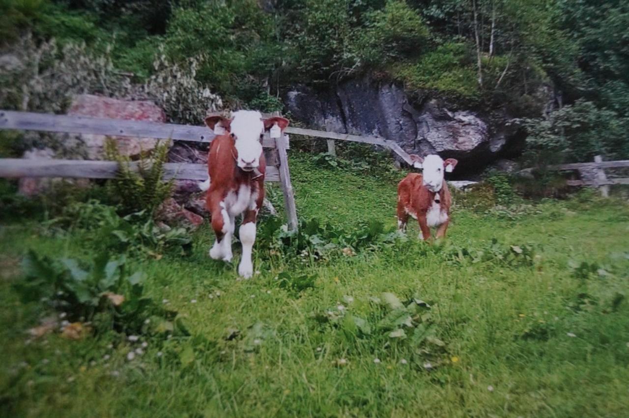 Krandlhof Apartman Zell am Ziller Kültér fotó