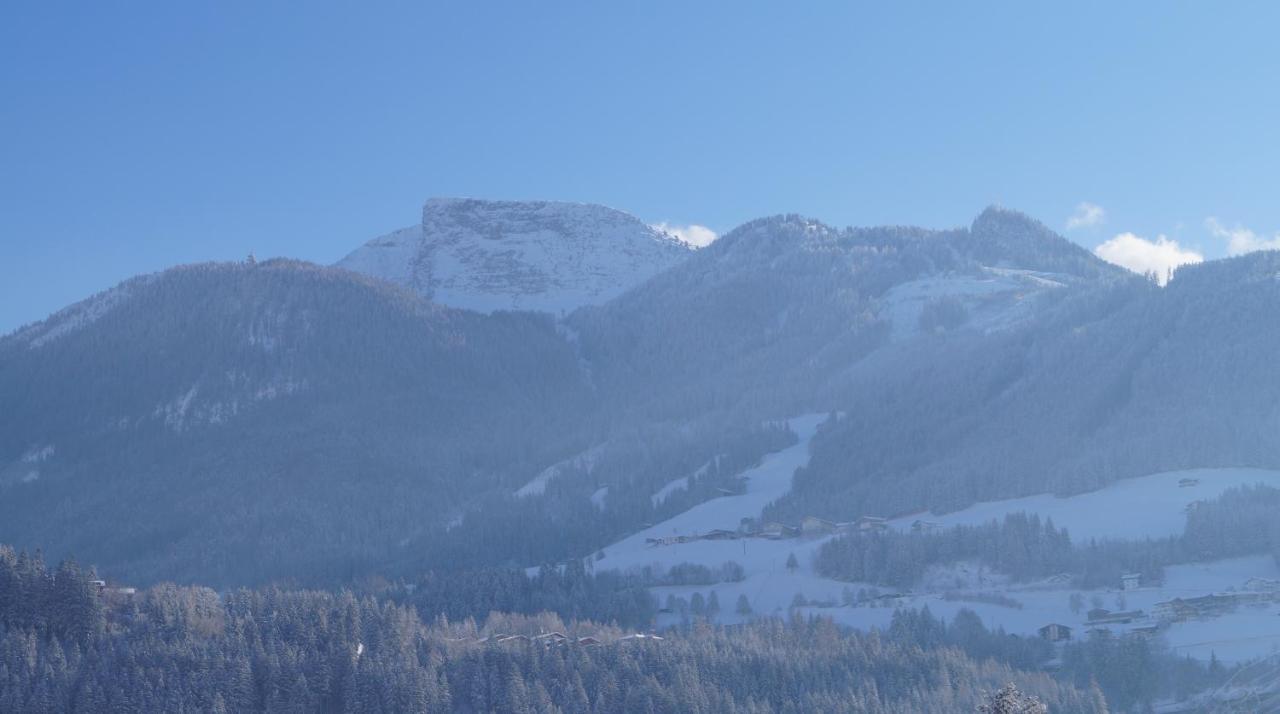 Krandlhof Apartman Zell am Ziller Kültér fotó