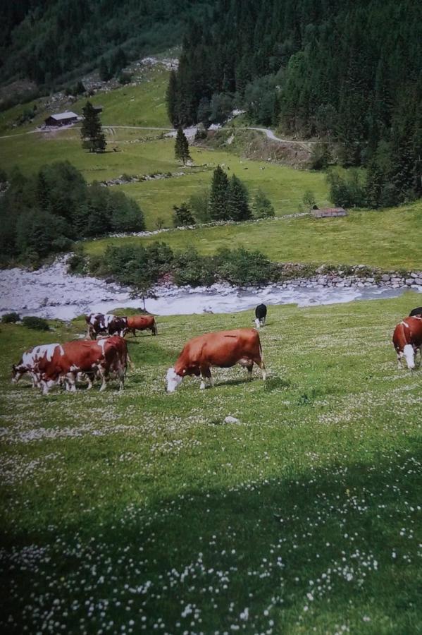 Krandlhof Apartman Zell am Ziller Kültér fotó